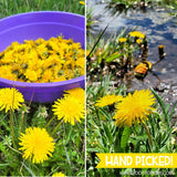 DANDELION Salve {Original Formula!}